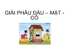 Bài giảng Giải phẩu đầu – mặt - Cổ