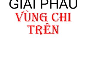 Bài giảng Giải phẫu vùng chi trên