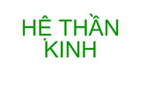 Bài giảng Hệ thần kinh trung ương