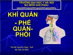 Bài giảng Khí quản - Phế quản-phổi