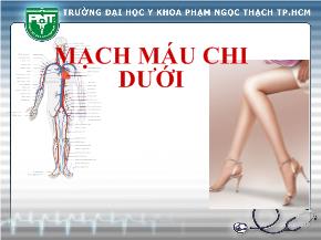 Bài giảng Mạch máu chi dưới