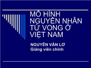 Bài giảng Mô hình nguyên nhân tử vong ở Việt Nam