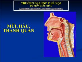 Bài giảng Mũi, hầu, thanh quản