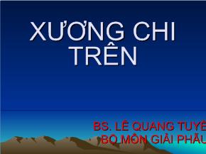 Bài giảng Xương chi trên