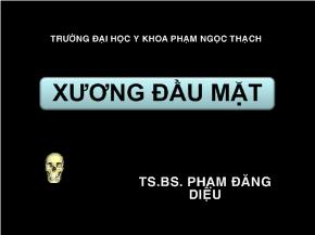 Bài giảng Xương đầu mặt