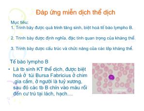 Đáp ứng thể miễn dịch