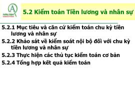 Kiểm toán báo cáo tài chính - Kiểm toán tiền lương và nhân sự