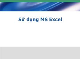 Bài giảng Sử dụng MS Excel
