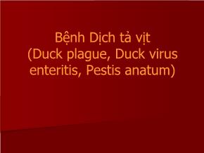 Bệnh dịch tả vịt (duck plague, duck virus enteritis, pestis anatum)