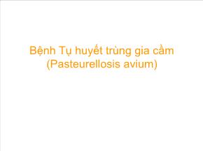 Bệnh tụ huyết trùng gia cầm (pasteurellosis avium)