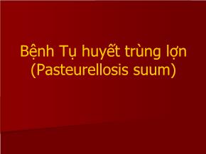 Bệnh tụ huyết trùng lợn (pasteurellosis suum)