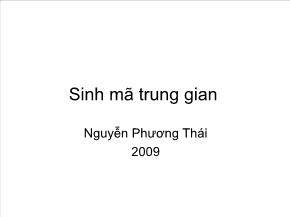 Kĩ thuật lập trình - Sinh mã trung gian