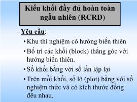 Kiểu khối đầy đủ hoàn toàn ngẫu nhiên (RCRD)