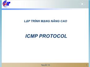 Lập trình mạng nâng cao icmp protocol