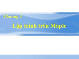 Maple - Chương 3: Lập trình trên Maple