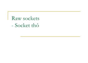 Raw sockets - Socket thô