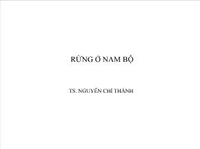 Rừng ở nam bộ