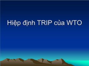 Bài giảng Hiệp định TRIP của WTO