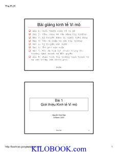 Bài giảng kinh tế Vi mô