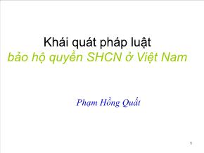 Bài giảng Pháp luật bảo hộ quyền SHCN ở Việt Nam