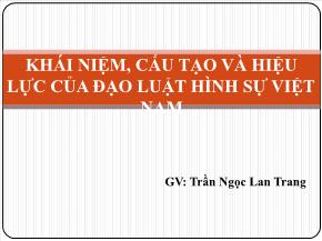 Khái niệm, cấu tạo và hiệu lực của đạo luật hình sự Việt Nam