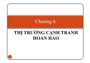 Kinh tế học - Chương 6: Thị trường cạnh tranh hoàn hảo