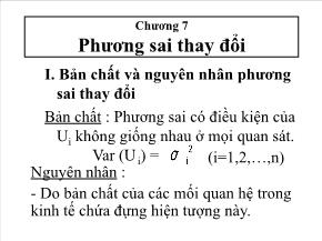 Kinh tế học - Chương 7: Phương sai thay đổi