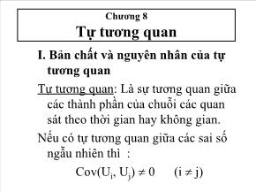 Kinh tế học - Chương 8: Tự tương quan