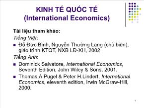 Kinh tế quốc tế (international economics)