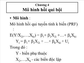 Kinh tế vĩ mô I - Chương 4: Mô hình hồi qui bội