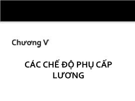 Kinh tế vĩ mô I - Chương V: Các chế độ phụ cấp lương