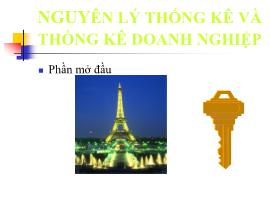 Nguyên lý thống kê và thống kê doanh nghiệp