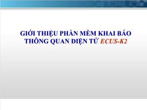 Phần mềm khai báo thông quan điện tử ecus-K2