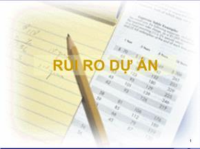 Quản trị dự án - Rủi ro dự án