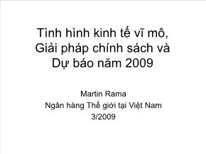 Tình hình kinh tế vĩ mô, giải pháp chính sách và dự báo năm 2009