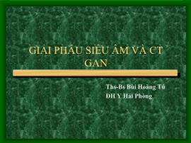 Bài giảng Giải phẫu siêu âm và CT gan