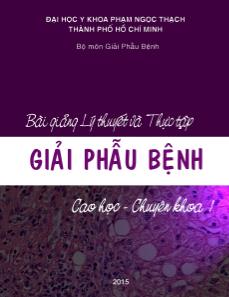 Bài giảng lý thuyết và giải phẫu