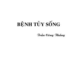 Bệnh tủy sống