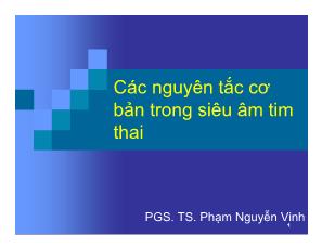 Các nguyên tắc cơ bản trong siêu âm tim thai