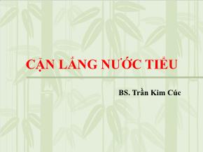 Cặn lắng nước tiểu