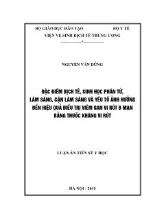 Đặc điểm dịch tễ, sinh học phân tử, lâm sàng, cận lâm sàng và yếu tố ảnh hưởng đến hiệu quả điều trị viêm gan vi rút B mạn bằng thuốc kháng vi rút