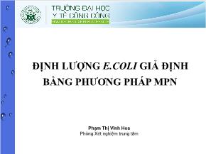 Định lượng E.coli giả định bằng phương pháp mpn