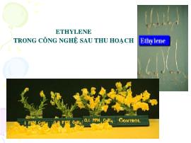 Ethylene trong công nghệ sau thu hoạch