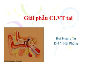 Giải phẫu CLVT tai