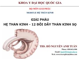 Giải phẫu hệ thần kinh - 12 đôi dây thần kinh sọ