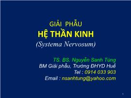 Giải phẫu hệ thần kinh