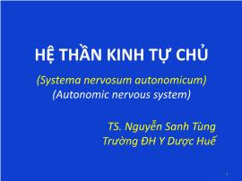 Hệ thần kinh tự chủ