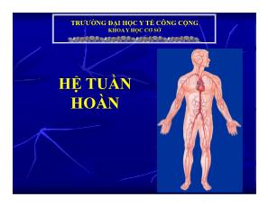 Hệ tuần hoàn