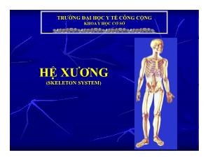 Hệ xương