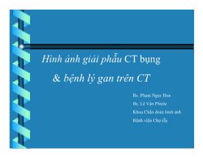 Hình ảnh giải phẫu CT bụng và bệnh lý gan trên CT